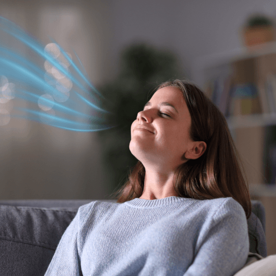 Inside Home Technology