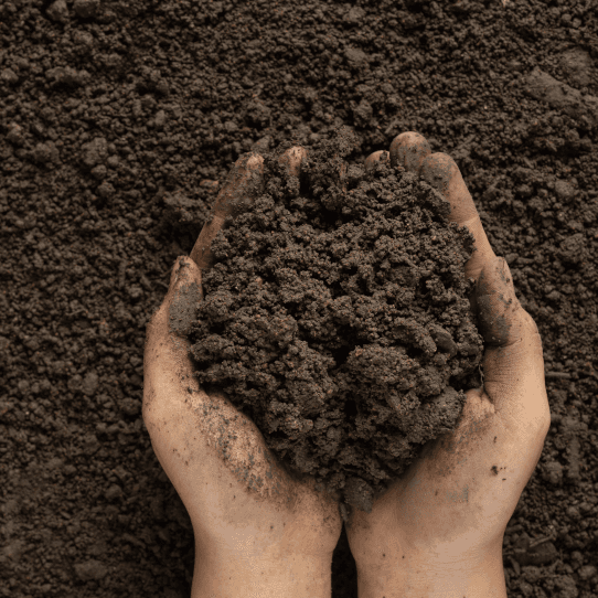 Inside Home Technology